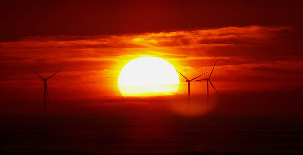 Egy zöldebb jövő reményében Egy zöldebb jövő reményében