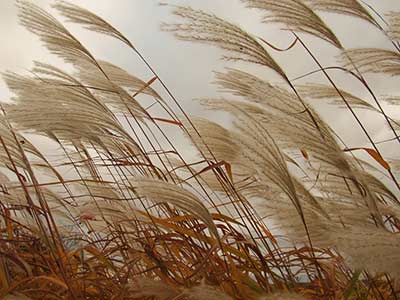 A napelem rendszer és a szél A napelem rendszer és a szél