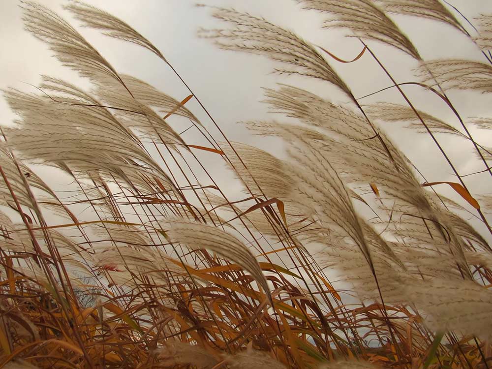 A napelem rendszer és a szél A napelem rendszer és a szél