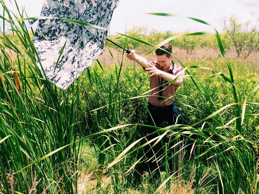 Elfújta a szél Elfújta a szél