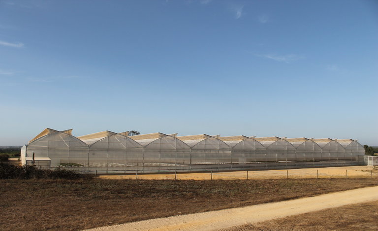 A napfény ereje A napfény ereje