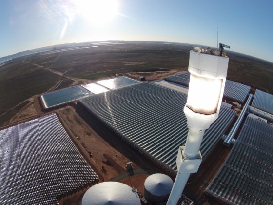 A napfény erejével termesztenek növényeket a sivatag közepén A napfény erejével termesztenek növényeket a sivatag közepén
