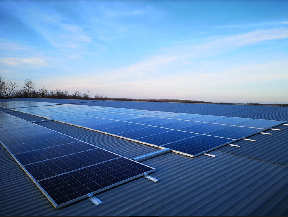 Napelem, vagy napraforgó?