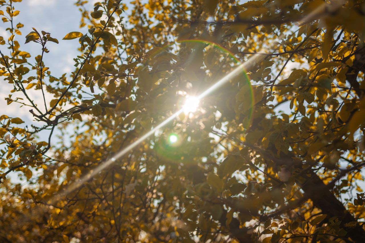 Mennyire jelenthet gondot a háztető árnyékolása a napelem panelek működése során? Mennyire jelenthet gondot a háztető árnyékolása a napelem panelek működése során?