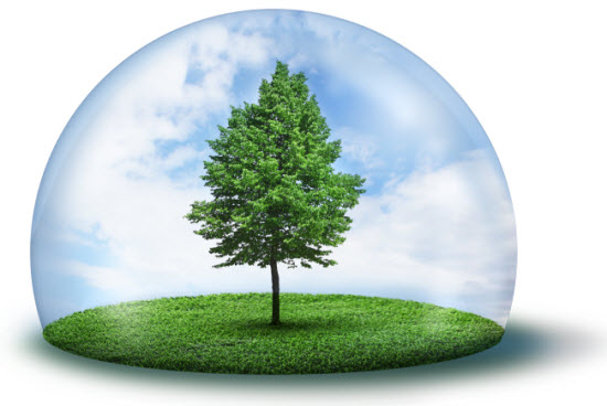 A természetet mentve, nem pedig károsítva A természetet mentve, nem pedig károsítva