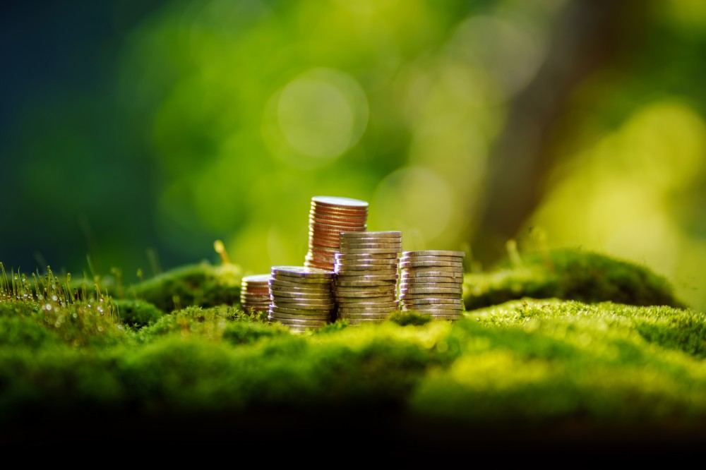 Mi az a zöld hitel, és hogyan kapcsolódik ehhez a napelem rendszer? Mi az a zöld hitel, és hogyan kapcsolódik ehhez a napelem rendszer?