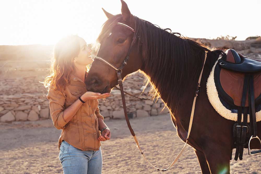 Napelem rendszer lovardáknak Napelem rendszer lovardáknak