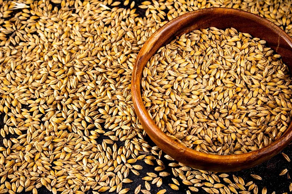 A magtárolás problémája egyidős a civilizációnkkal