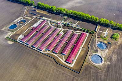 Napelem rendszer sertéstelepeknek Napelem rendszer sertéstelepeknek