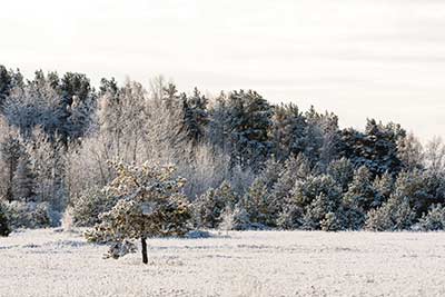 Napelem rendszer télen Napelem rendszer télen