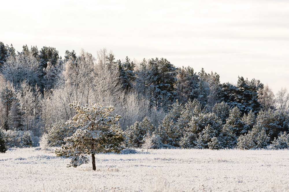Napelem rendszer télen