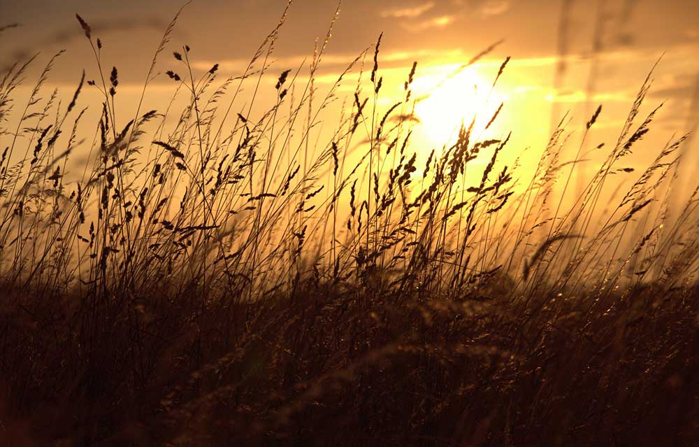 Folytatása következik Folytatása következik