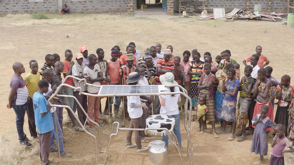 A napelemes-tehén projekt