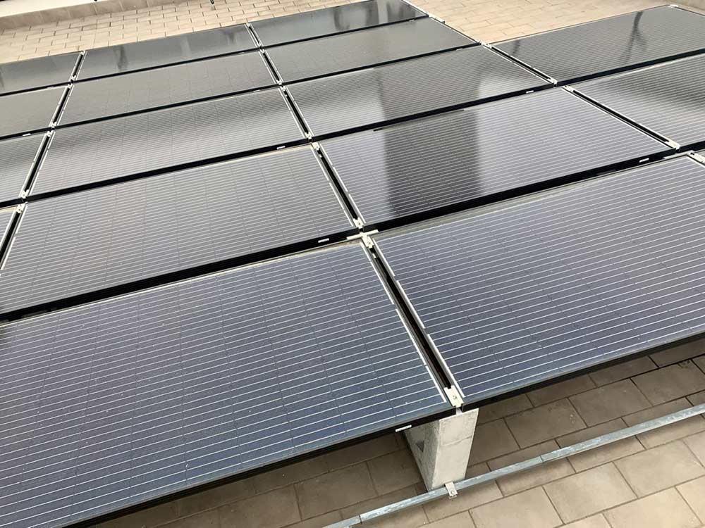 A zöld, a bíbor és a fekete… A zöld, a bíbor és a fekete…