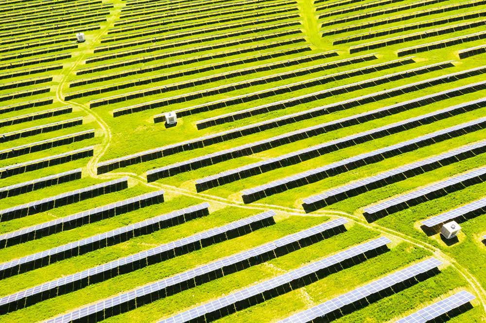 Zöld hitel, zöld bankjegy